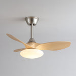 Zephira Ceiling Fan Light