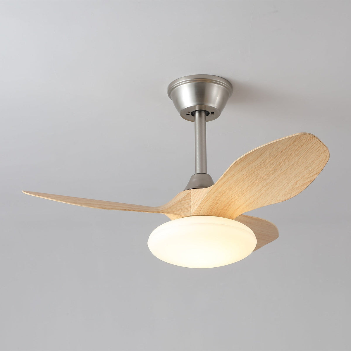 Zephira Ceiling Fan Light
