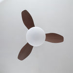 Zephira Ceiling Fan Light