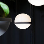 Palma Pendant Lamp