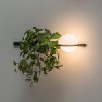 Solstice Wall Light