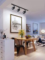 Paloma Ceiling Light