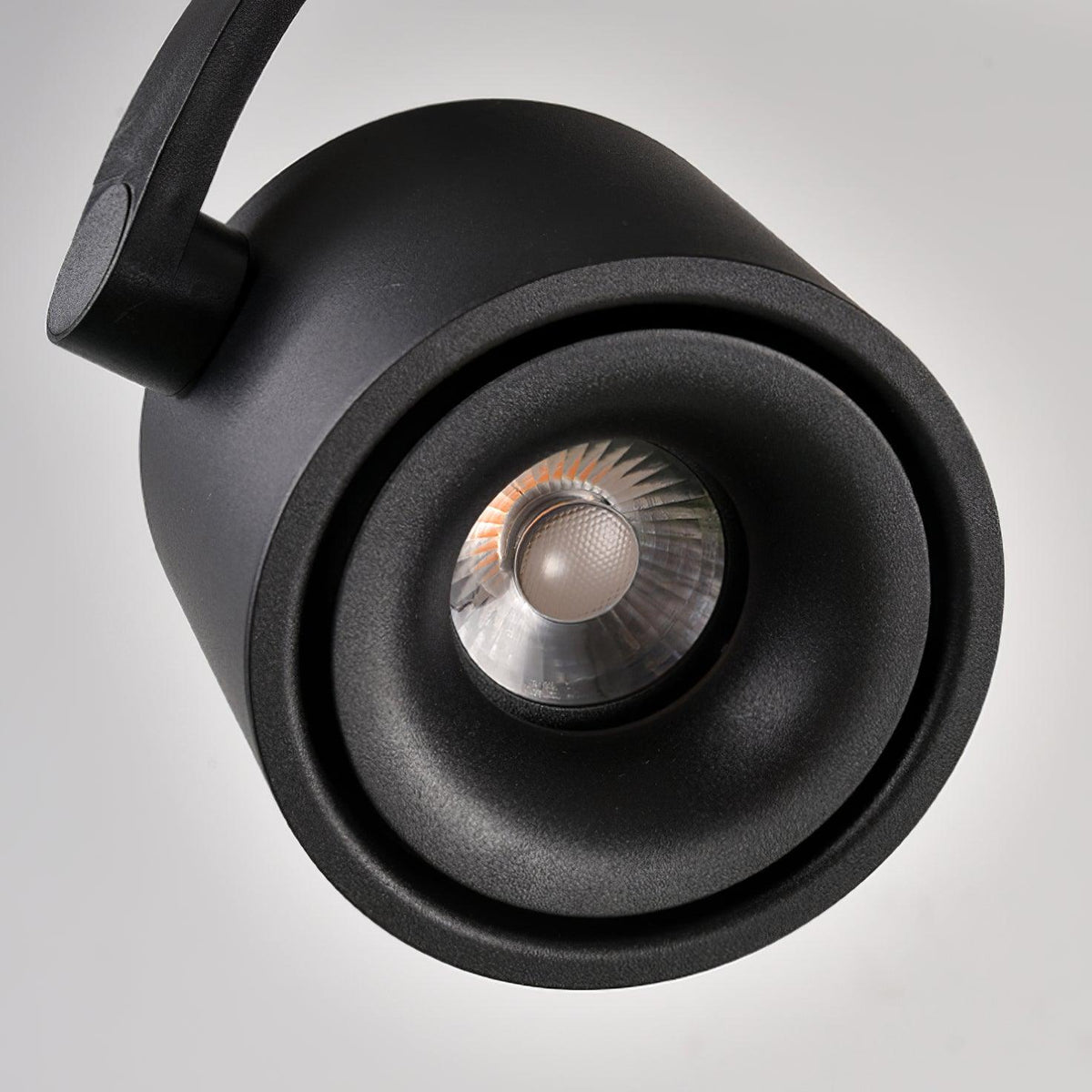 Paloma Ceiling Light