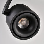 Paloma Ceiling Light