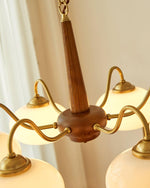 Persimmon Chandelier