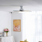Petalo Ceiling Fan Light