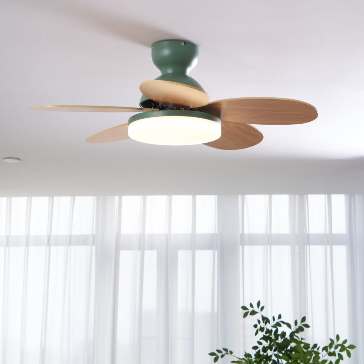 Petalo Ceiling Fan Light