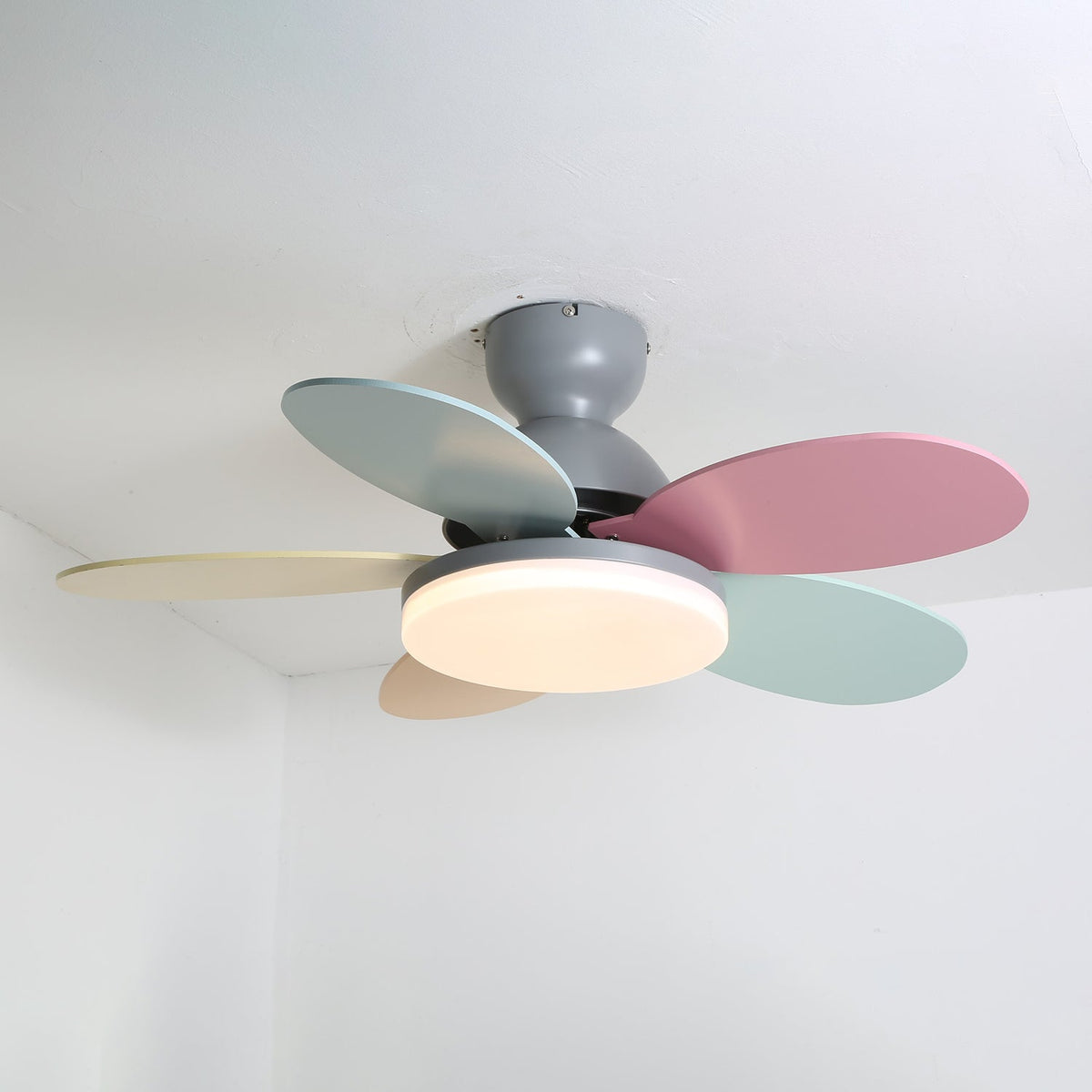 Petalo Ceiling Fan Light