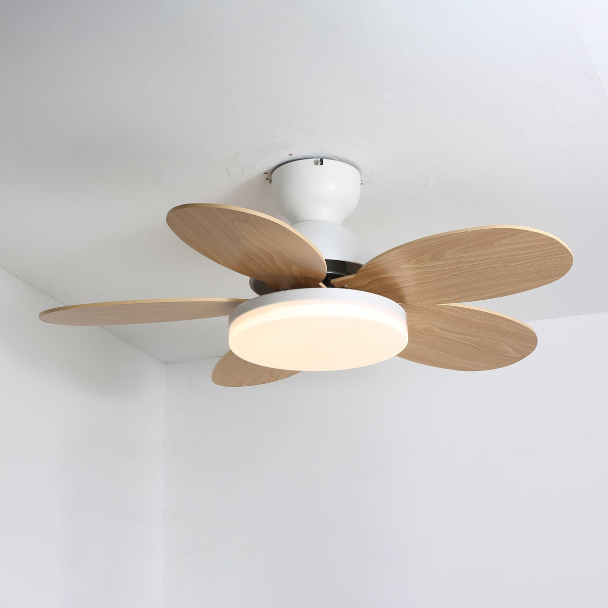 Petalo Ceiling Fan Light
