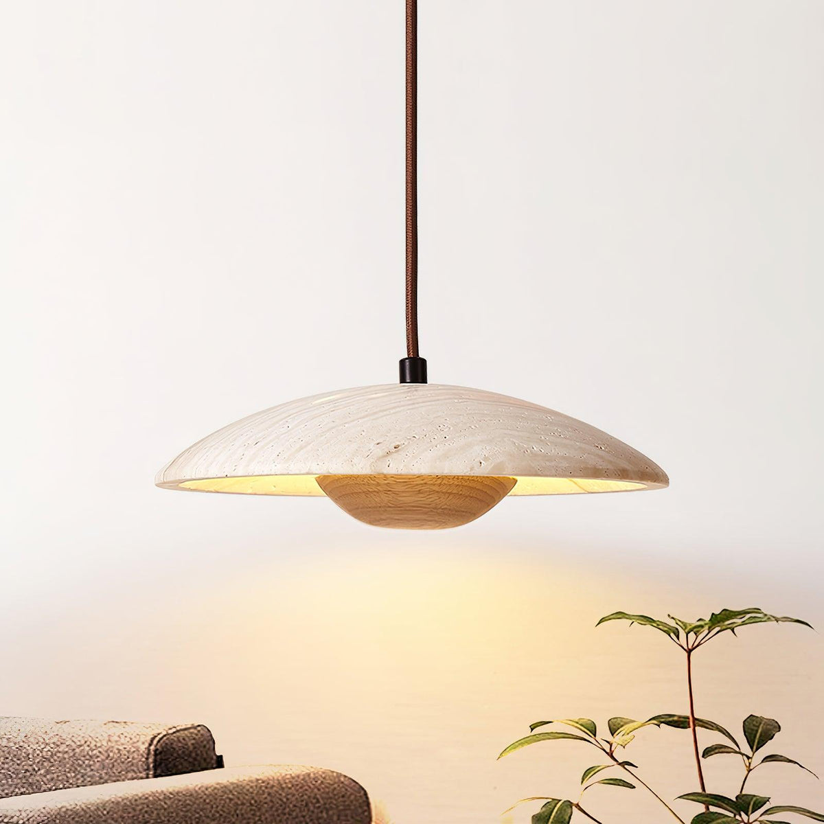 Plate Pendant Lamp 9.8"