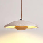 Plate Pendant Lamp 9.8"