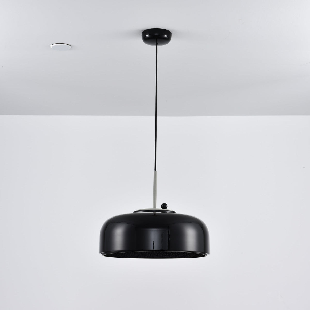 Podgy Pendant Light