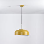 Podgy Pendant Light