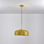 Podgy Pendant Light