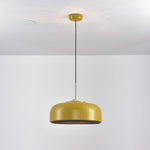 Podgy Pendant Light