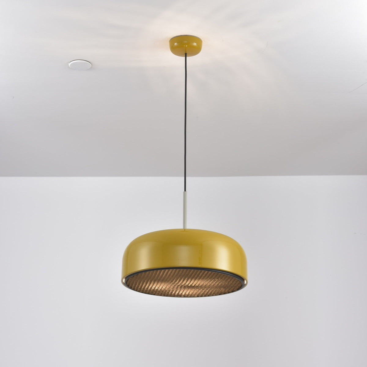 Podgy Pendant Light