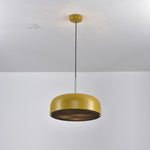 Podgy Pendant Light