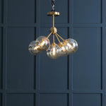 Rhizome Ceiling Light