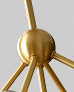 Rhizome Ceiling Light