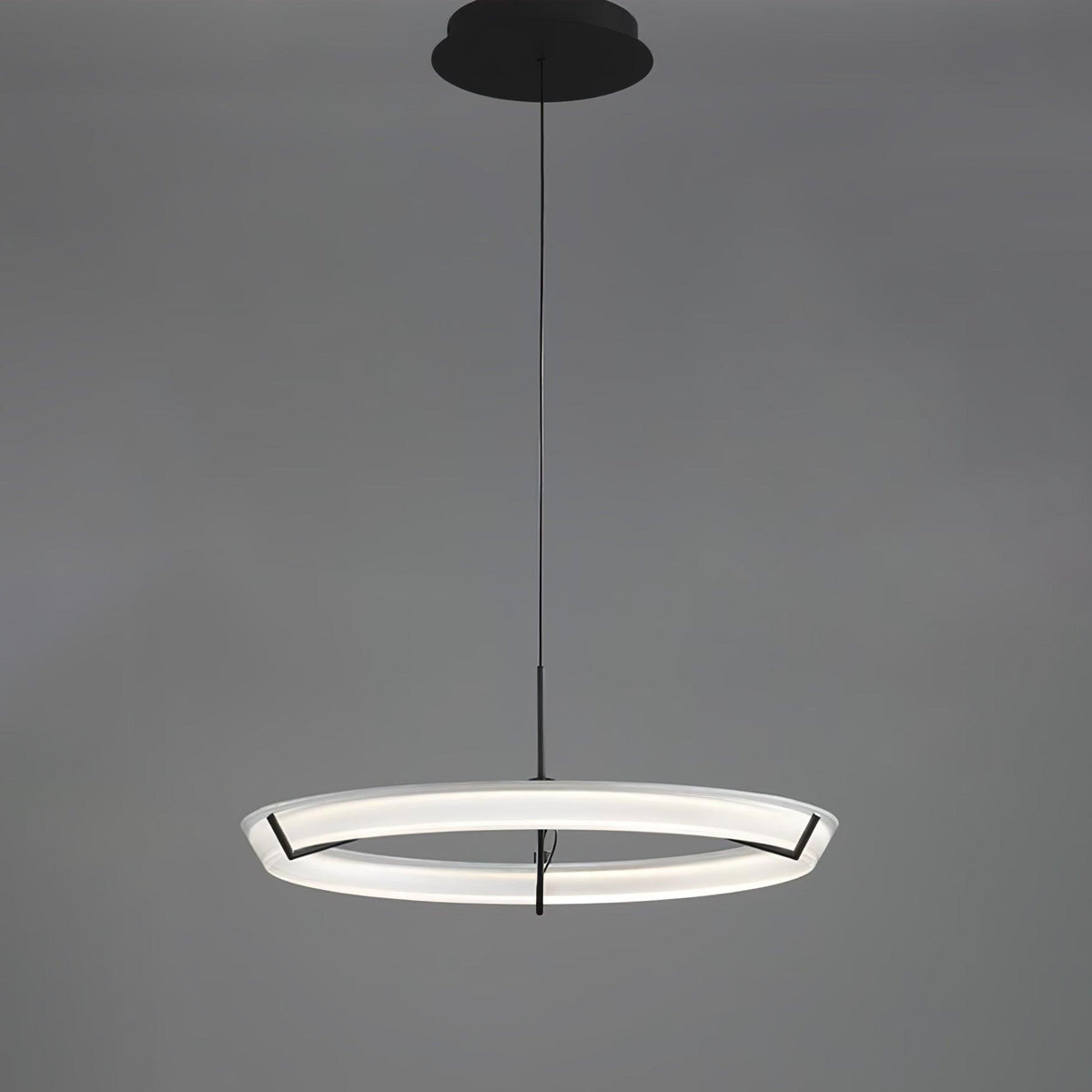 Ring Nodes Pendant Lamp