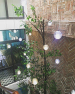 Round K9 Crystal Pendant Lamp