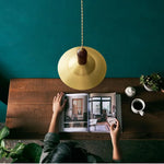 Modern Copper Wood LED Pendant Lamp for Living Dining Bedroom, Nordic Design
