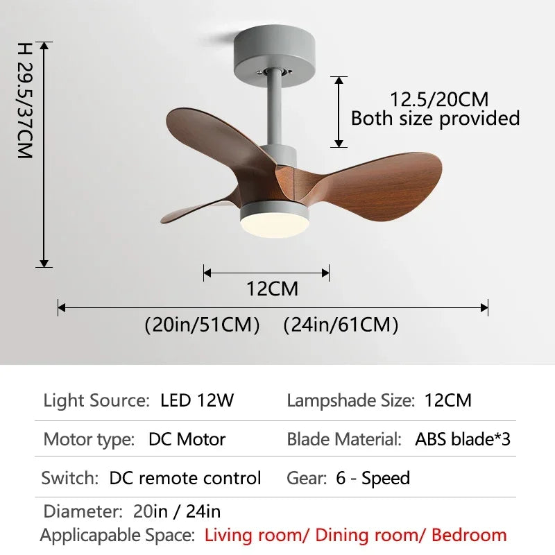 24-Inch Mini Ceiling Fan with Lights, Modern Design for Home and Office