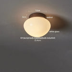 Walnut Glass LED Ceiling Lamp for Modern Living Room Art Decoration