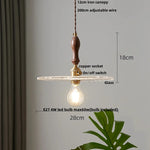 Walnut Flower Glass LED Pendant Chandelier Modern Nordic Hang Lamp