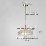 Amber Glass Walnut Wood LED Pendant Lamp with Copper Knob Switch