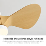 24-Inch Mini Ceiling Fan with Lights, Modern Design for Home and Office