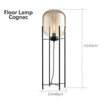 Modern Glass LED Floor Lamp for Living Room, Bedroom, Dining, and Home Decor