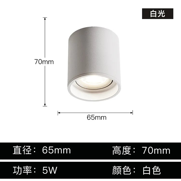 Aluminum Ceiling Lamp: Cylindrical Surface Mounted Downlight with Adjustable Beam Angle