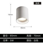 Aluminum Ceiling Lamp: Cylindrical Surface Mounted Downlight with Adjustable Beam Angle