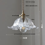Amber Glass Pendant Light Fixture with Copper Knob Switch