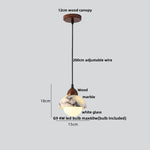 Afralia™ LED Pendant Lamp Adjustable Wire Globe Hanging Light Fixtures