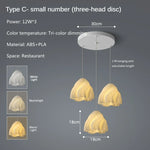 Modern 3D Printing Ceiling Chandelier for Home Dining Room Bedroom Decor