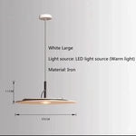 Modern LED Pendant Light for Kitchen Island, Living Room, Bedroom
