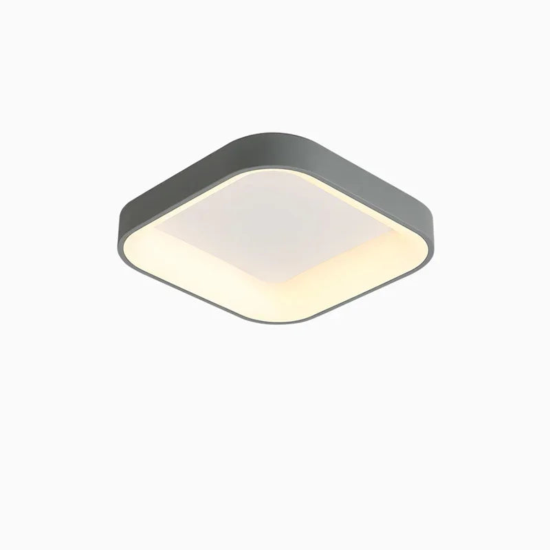 Nordic LED Ceiling Lights Dimmable for Home Decor Luminaires