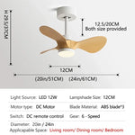 24-Inch Mini Ceiling Fan with Lights, Modern Design for Home and Office