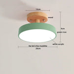 Acrylic Wood LED Ceiling Light – Nordic Indoor Lighting Fixture