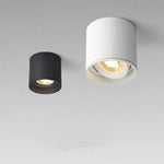 Aluminum Ceiling Lamp: Cylindrical Surface Mounted Downlight with Adjustable Beam Angle