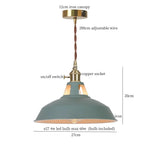 Blue Iron Art LED Pendant Light, Nordic Modern Style for Home and Commercial Spaces