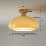 Walnut LED Ceiling Lamp Modern Indoor Lighting Fixture