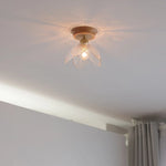Glass Wood LED Ceiling Light Modern Ceiling Lamp