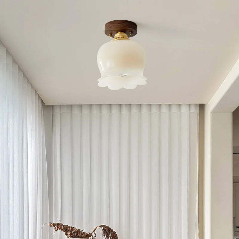 Walnut LED Ceiling Lamp Modern Indoor Lighting Fixture