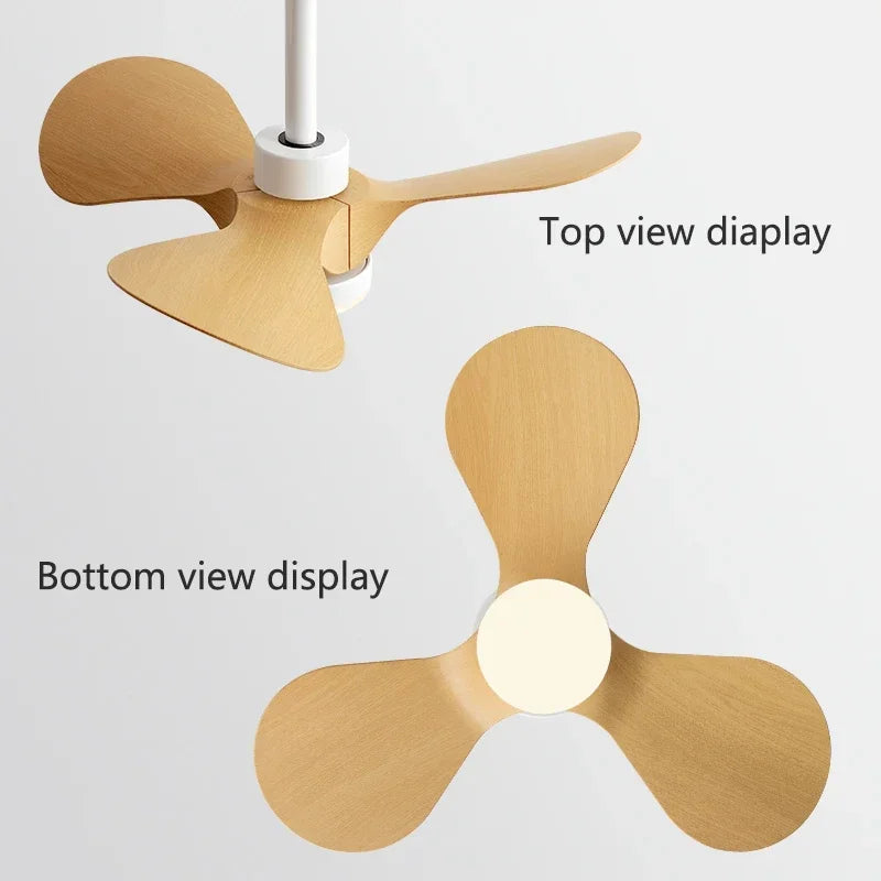 24-Inch Mini Ceiling Fan with Lights, Modern Design for Home and Office