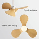 24-Inch Mini Ceiling Fan with Lights, Modern Design for Home and Office