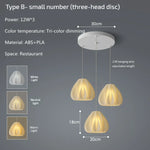 Modern 3D Printing Ceiling Chandelier for Home Dining Room Bedroom Decor