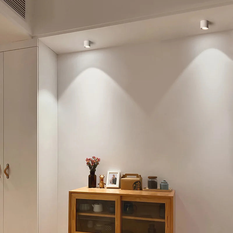 Aluminum Ceiling Lamp: Cylindrical Surface Mounted Downlight with Adjustable Beam Angle